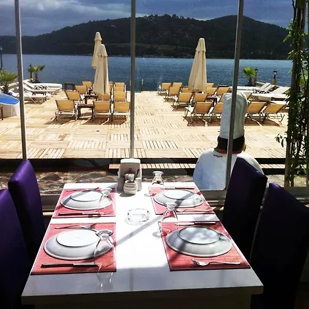 酒店 Casablanca Antik 古托克布库